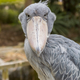 Image for article titled 10 Real-Life Creatures and the Horror Movies They Should Star In